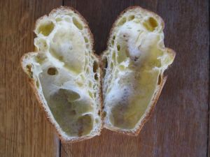 IMG_5919 - Version 2